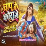 Chhap Ke Kora Me Rauwa Laika Ke Jaise Raja Ji So Jani Video Song (1080p HD) (Bihar Masti.IN)