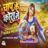 Chhap Ke Kora Me (Neelkamal Singh) Video Song